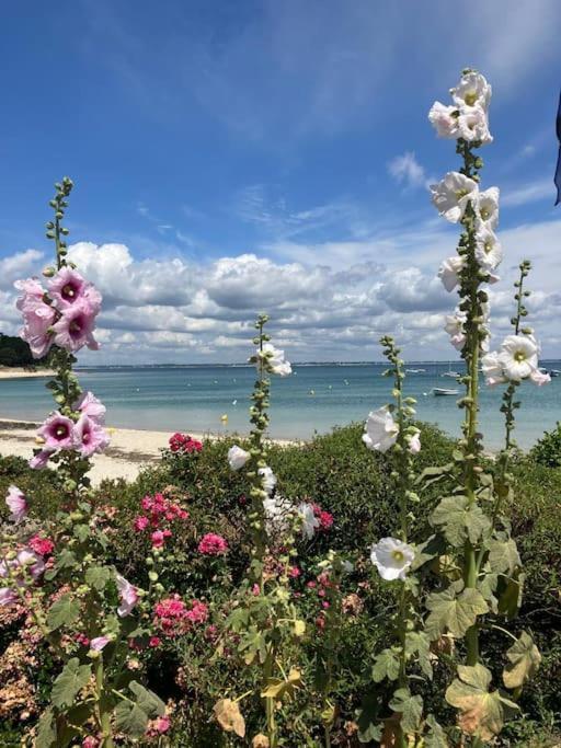 Appartement Belles Vacances Quiberon Luaran gambar